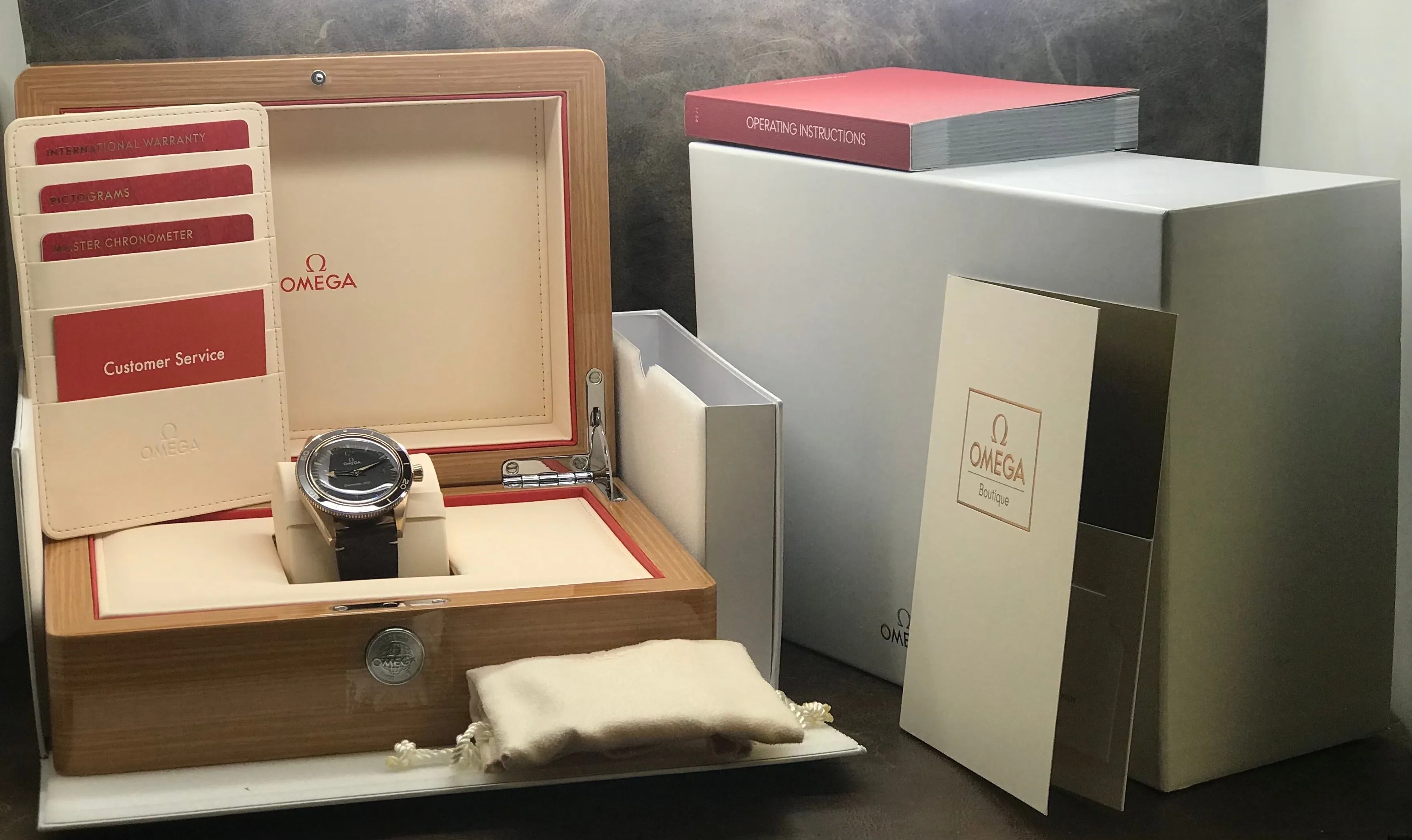 Omega Seamaster 300 234.92.41.21.10.001 Black Dial Automatic Men's Watch