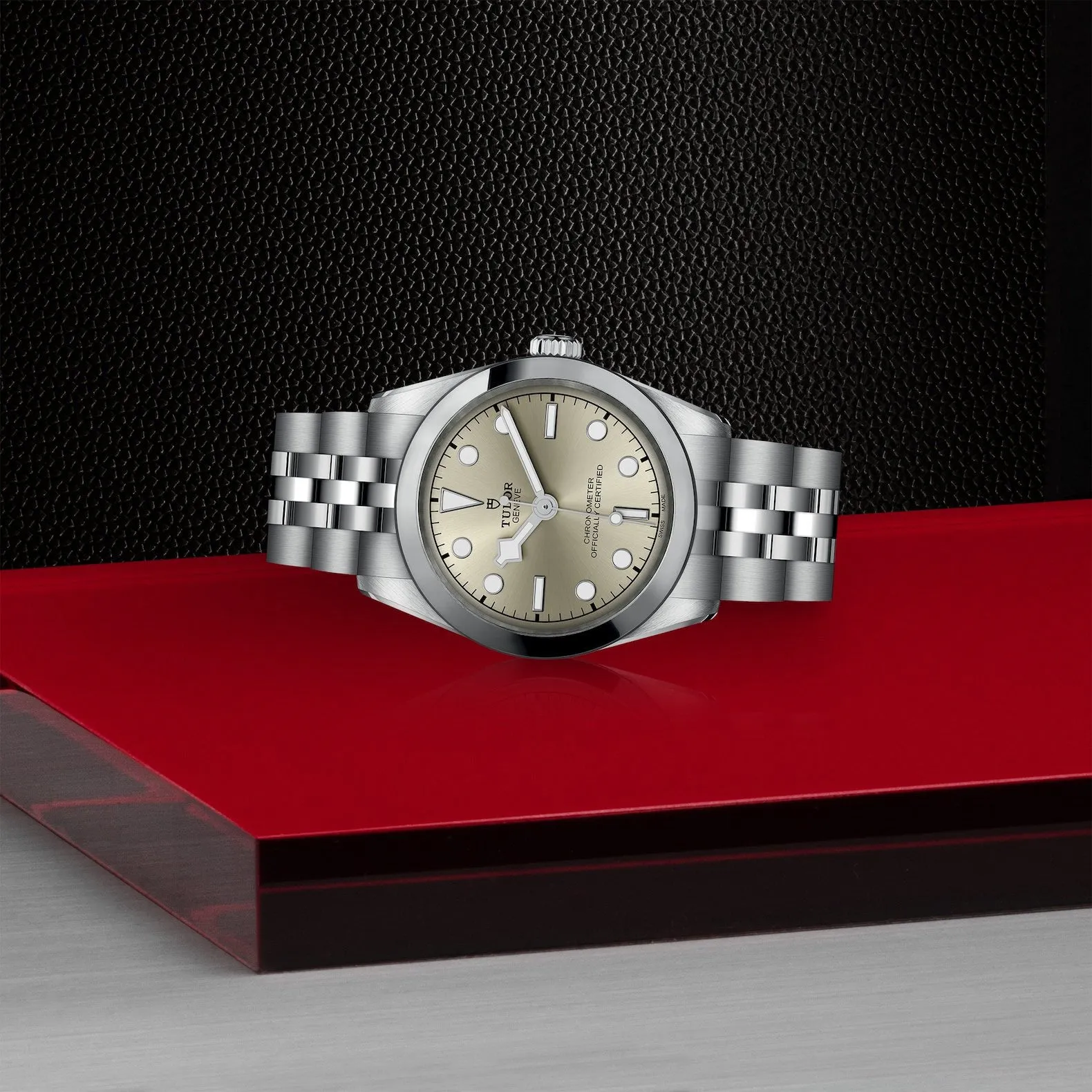 Tudor Black Bay 31