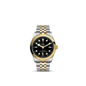 Tudor Black Bay 36 S&G