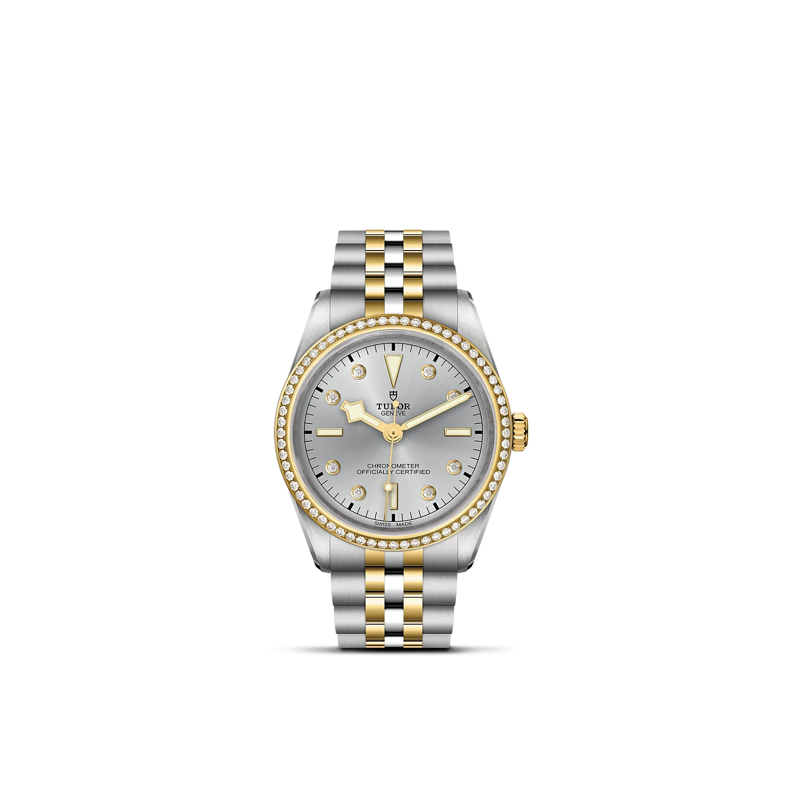 Tudor Black Bay 36 S&G
