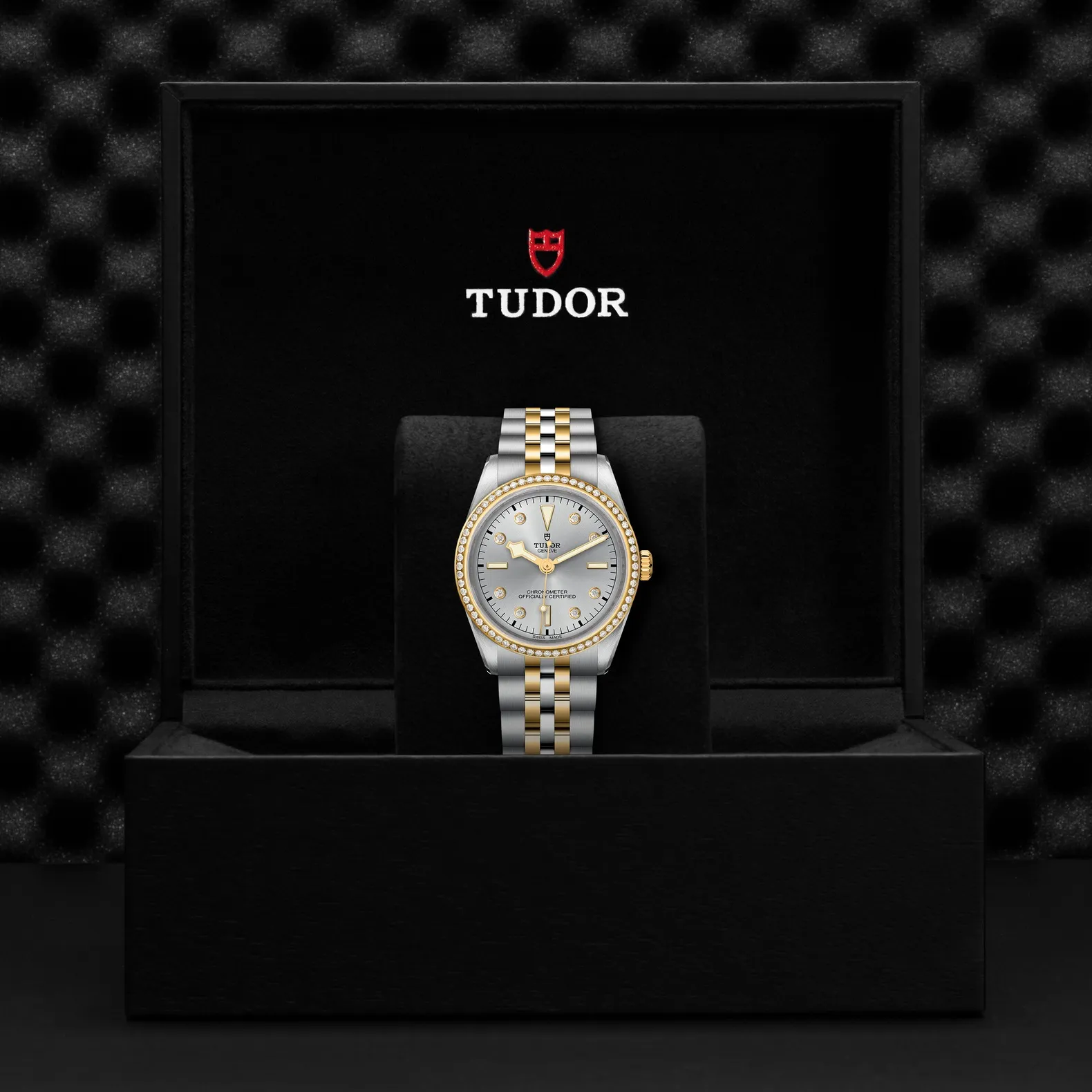 Tudor Black Bay 36 S&G