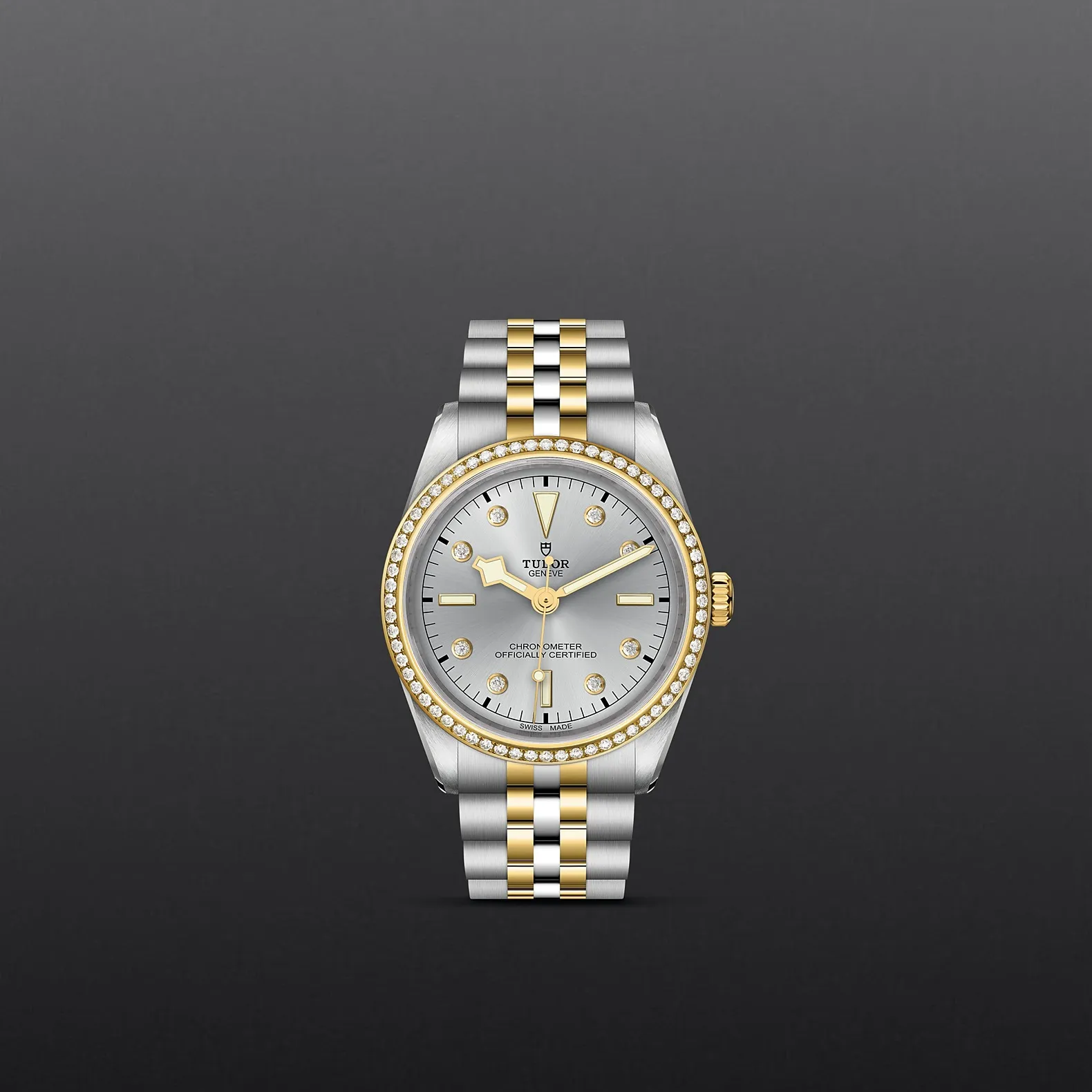 Tudor Black Bay 36 S&G
