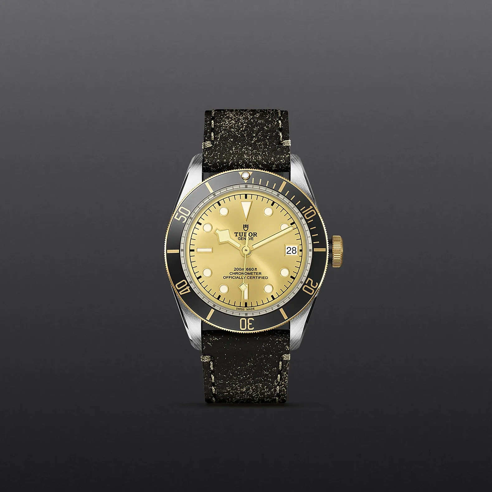 Tudor Black Bay S&G