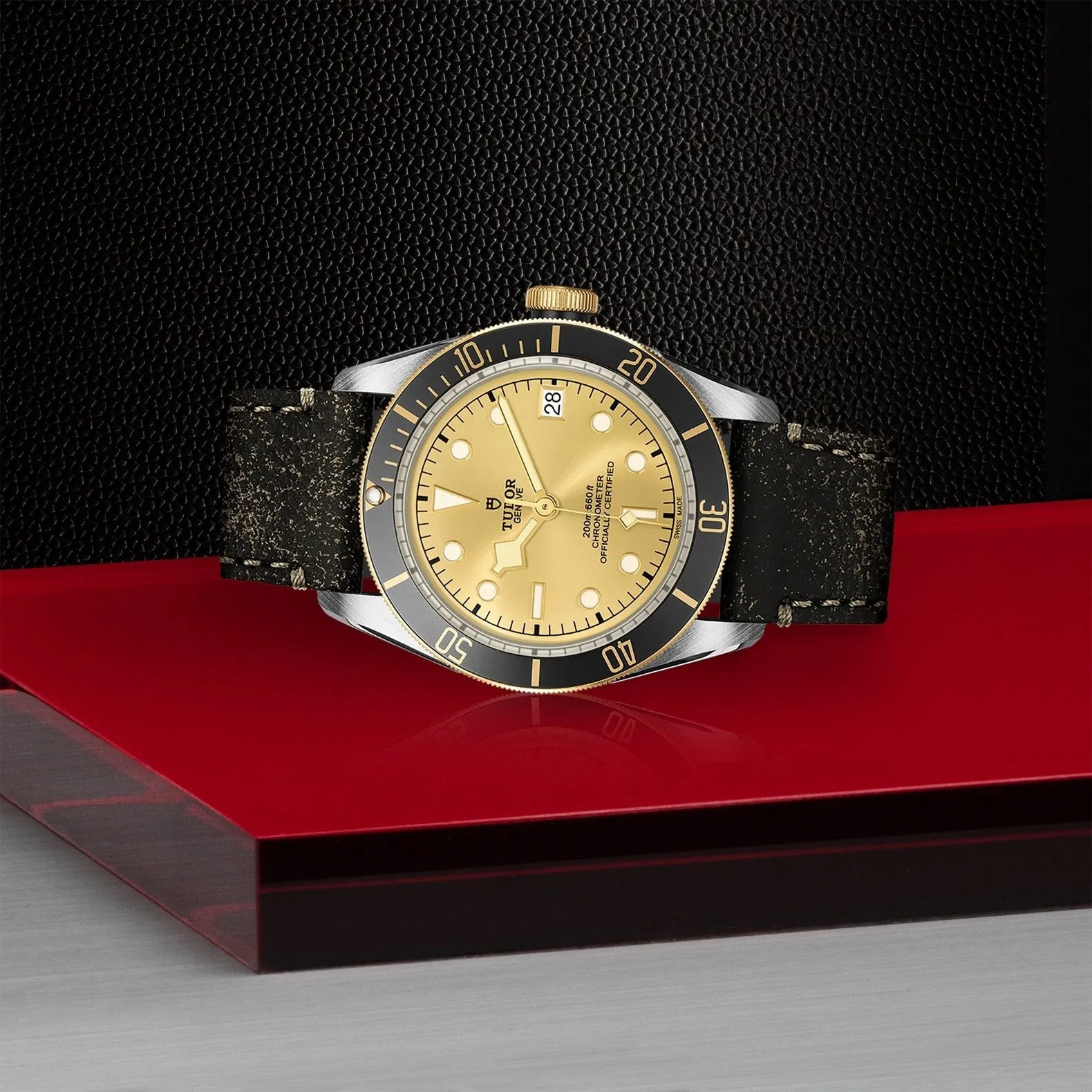 Tudor Black Bay S&G