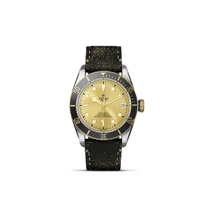 Tudor Black Bay S&G