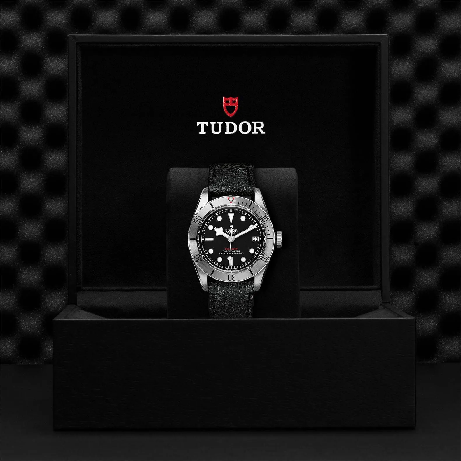 TUDOR Black Bay Steel